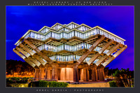 Geisel1