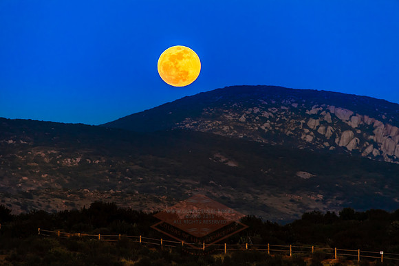 Moonrise1SD