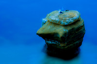 _E9A6504-Edit-2