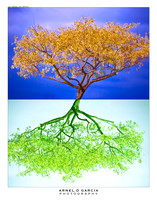 as above, so below