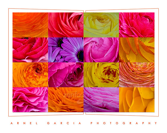 Flower02