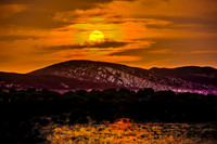 _E9A9883BLNF2-Edit