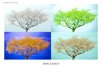 Seasons of my mind