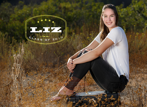Liz3-1